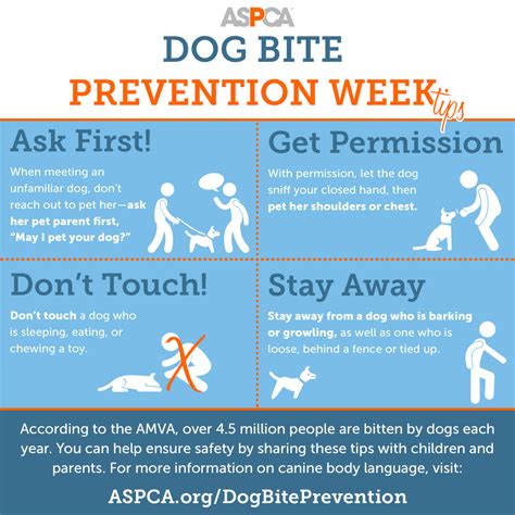 Prevent Rabies: List of Animal Bite Centers Near You.